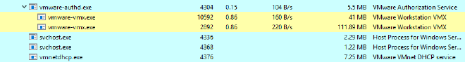 Two running VMs under vmware-vmx.exe